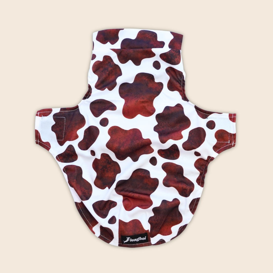 Dachshund Cooling Vest