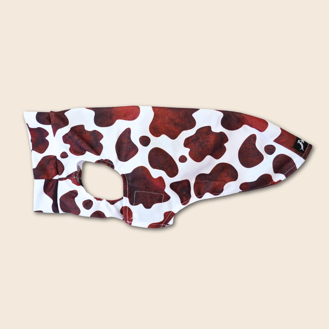 Dachshund Cooling Vest