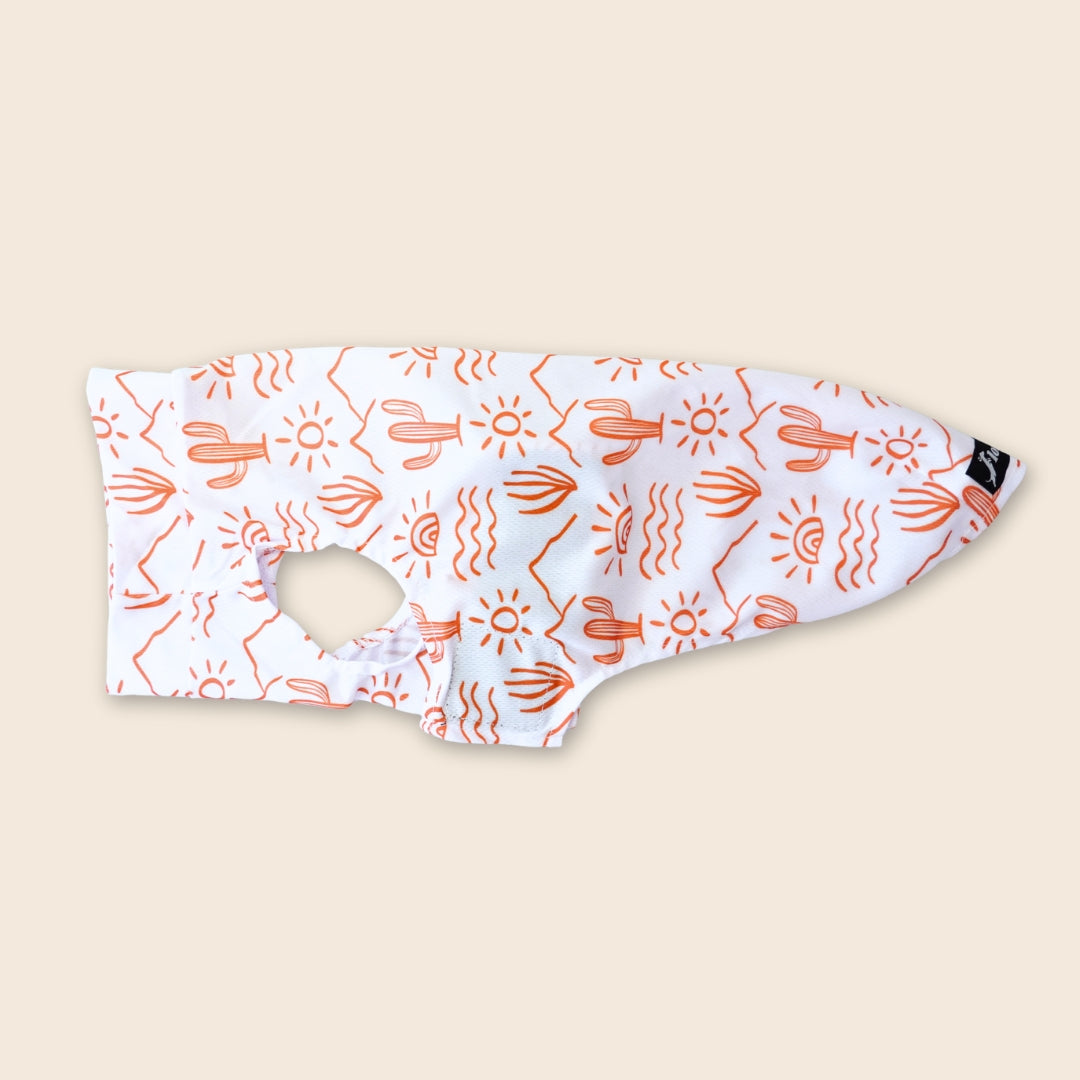 Dachshund Cooling Vest