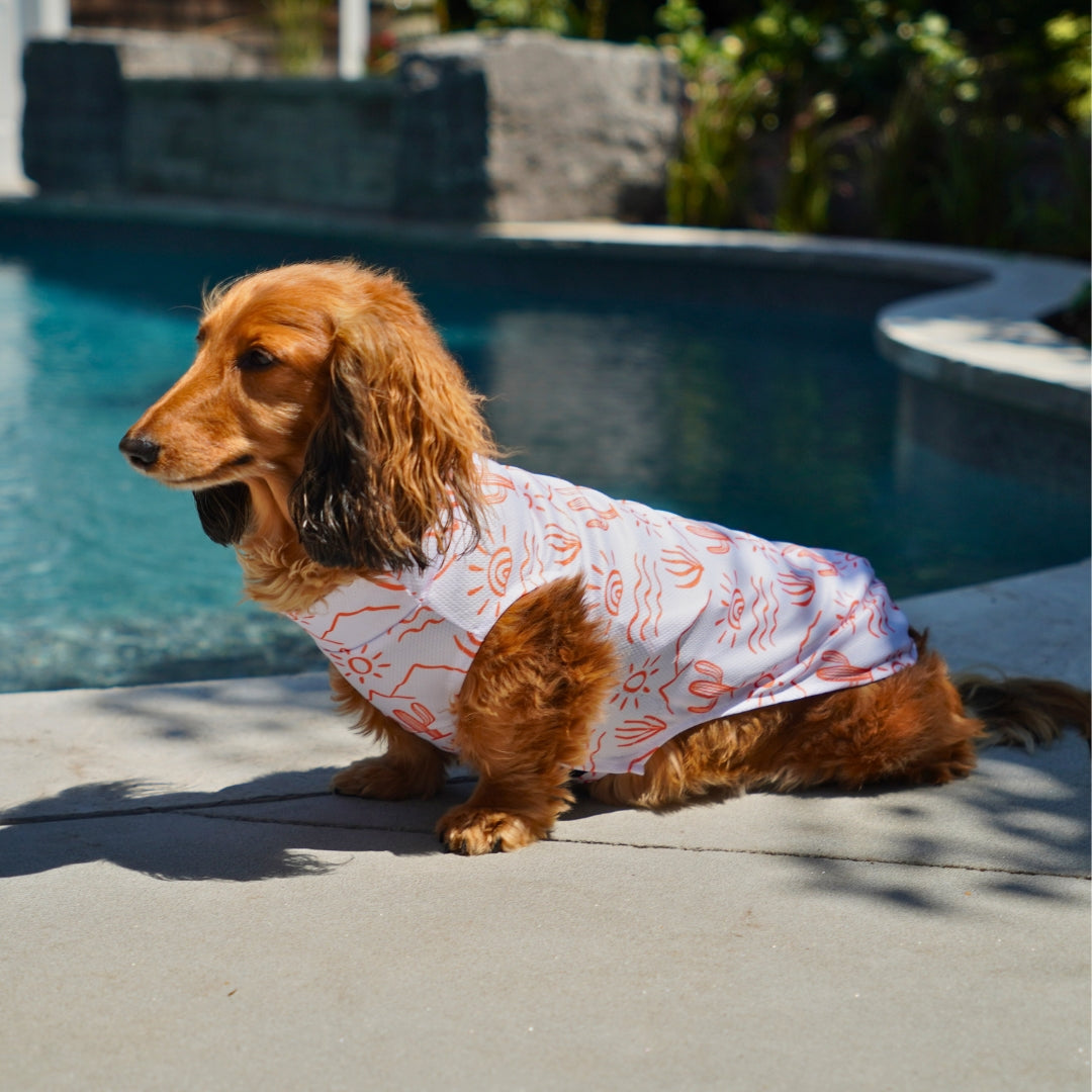 Dachshund Cooling Vest