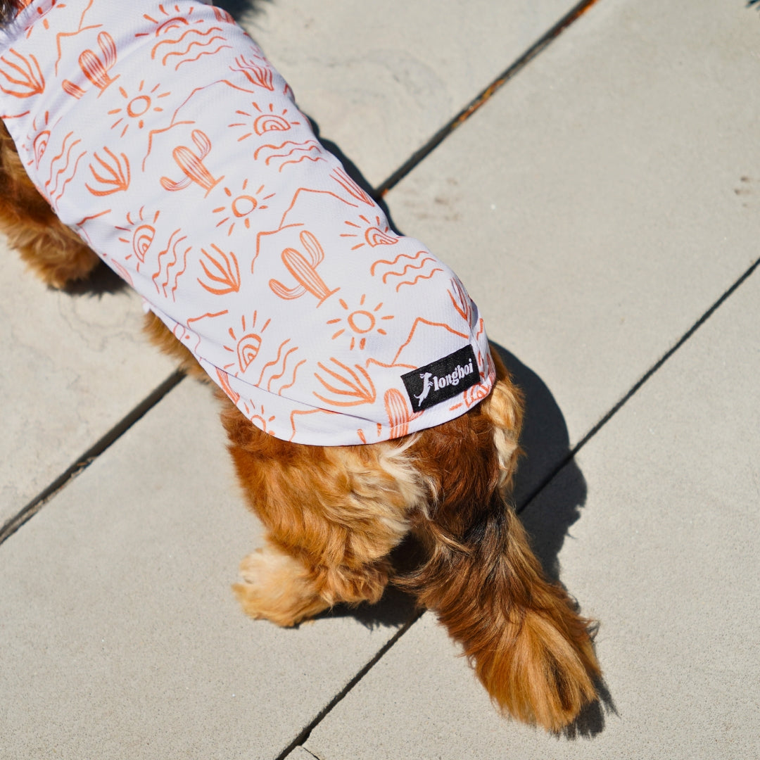 Dachshund Cooling Vest