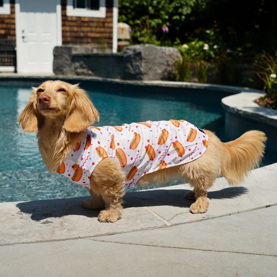 Dachshund Cooling Vest