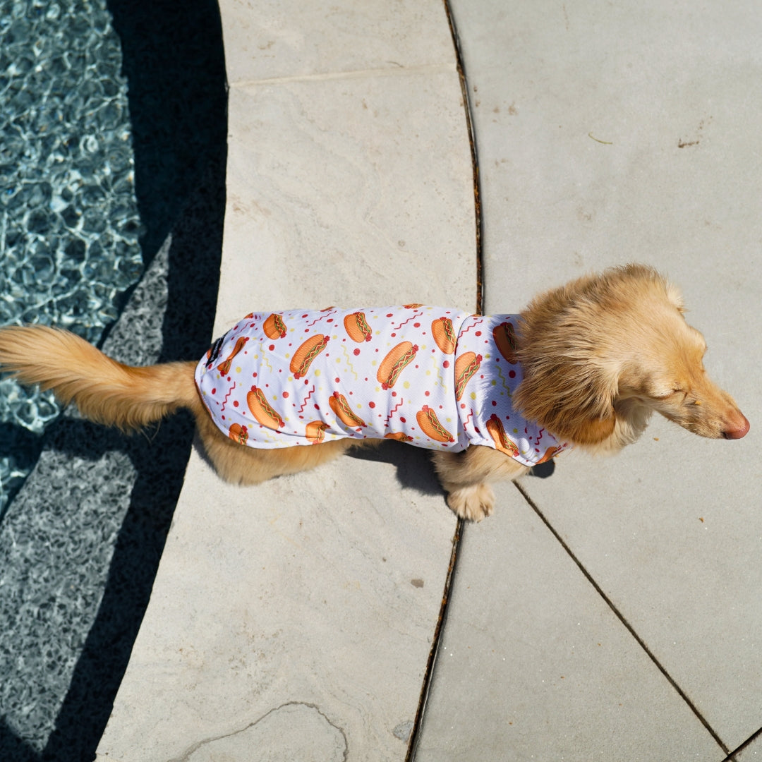 Dachshund Cooling Vest