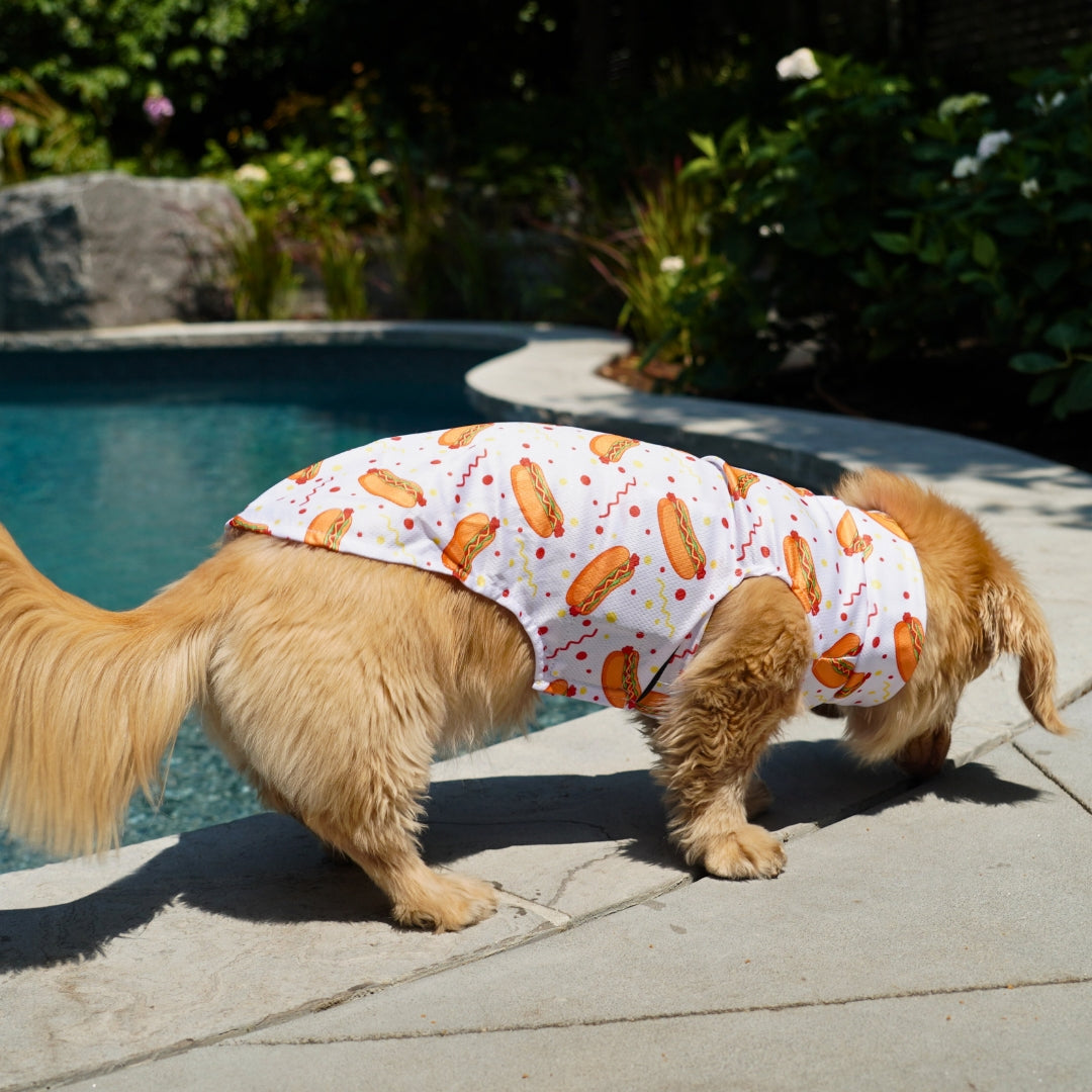 Dachshund Cooling Vest