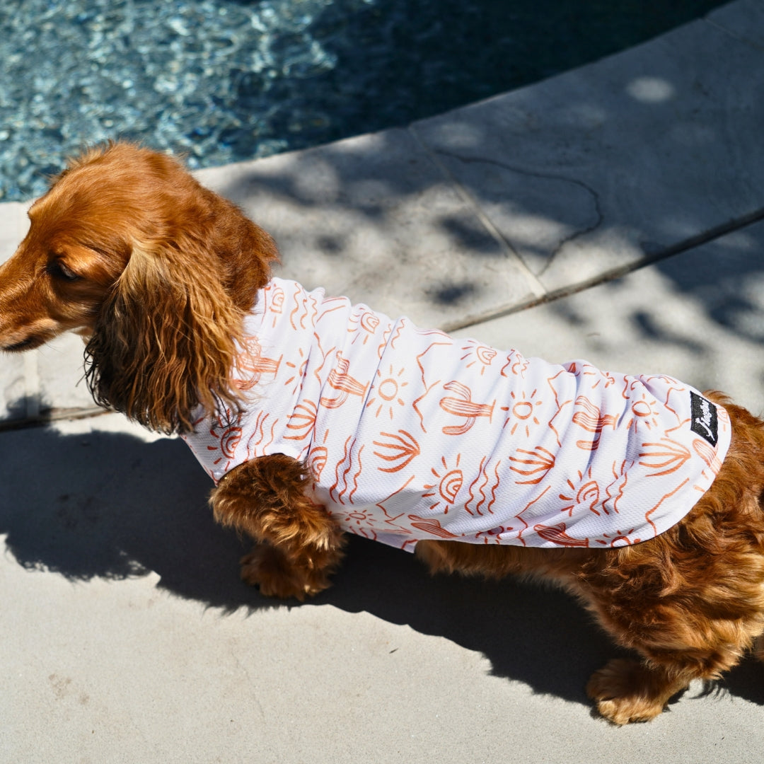 Dachshund Cooling Vest