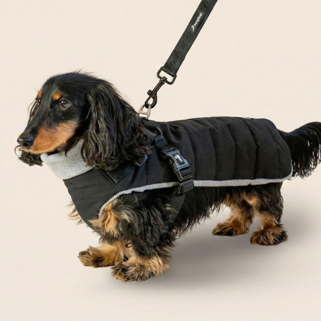 Dachshund Harness Puffer Jacket (NEW)