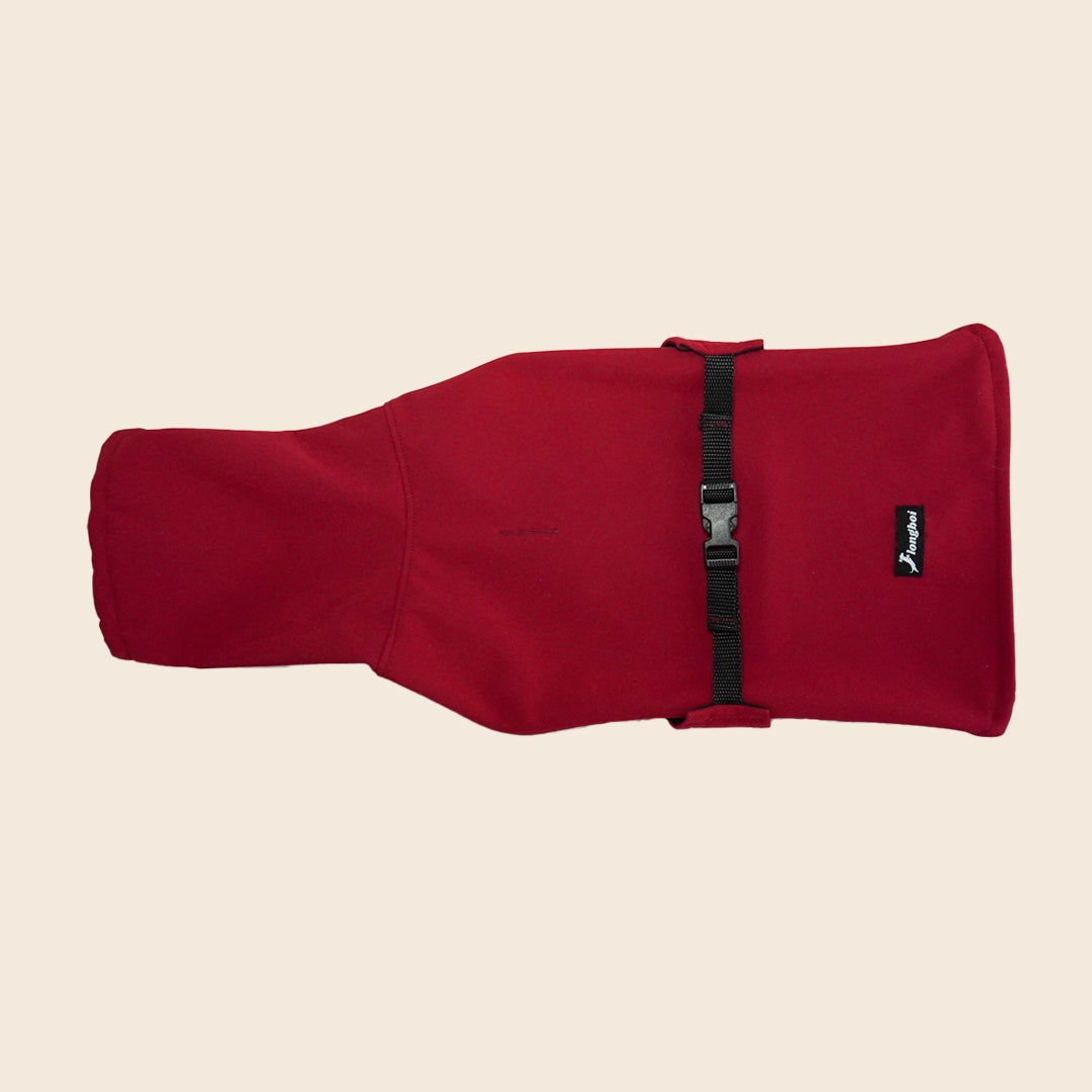 Dachshund Raincoat