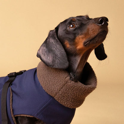Dachshund Jacket