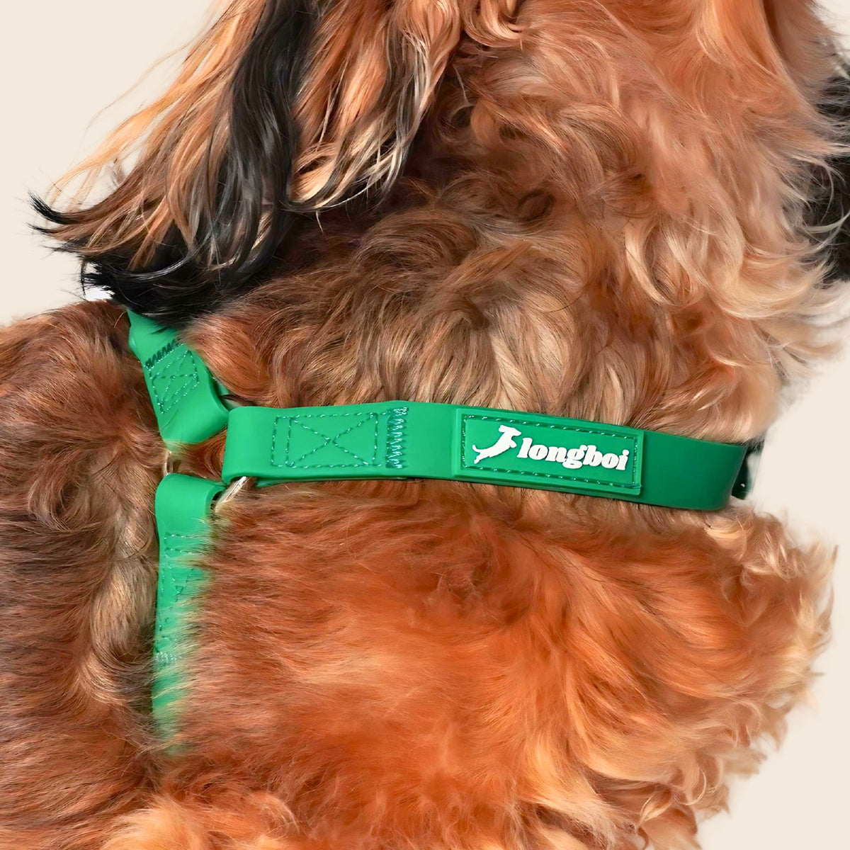 Waterproof Step-in Harness for Dachshunds | Longboi & Co.