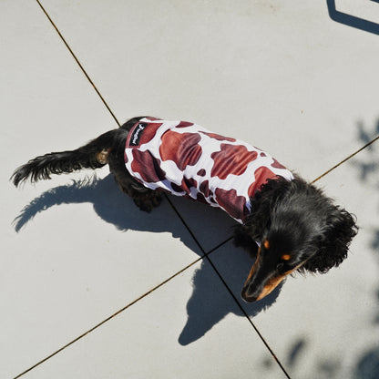 Dachshund Cooling Vest