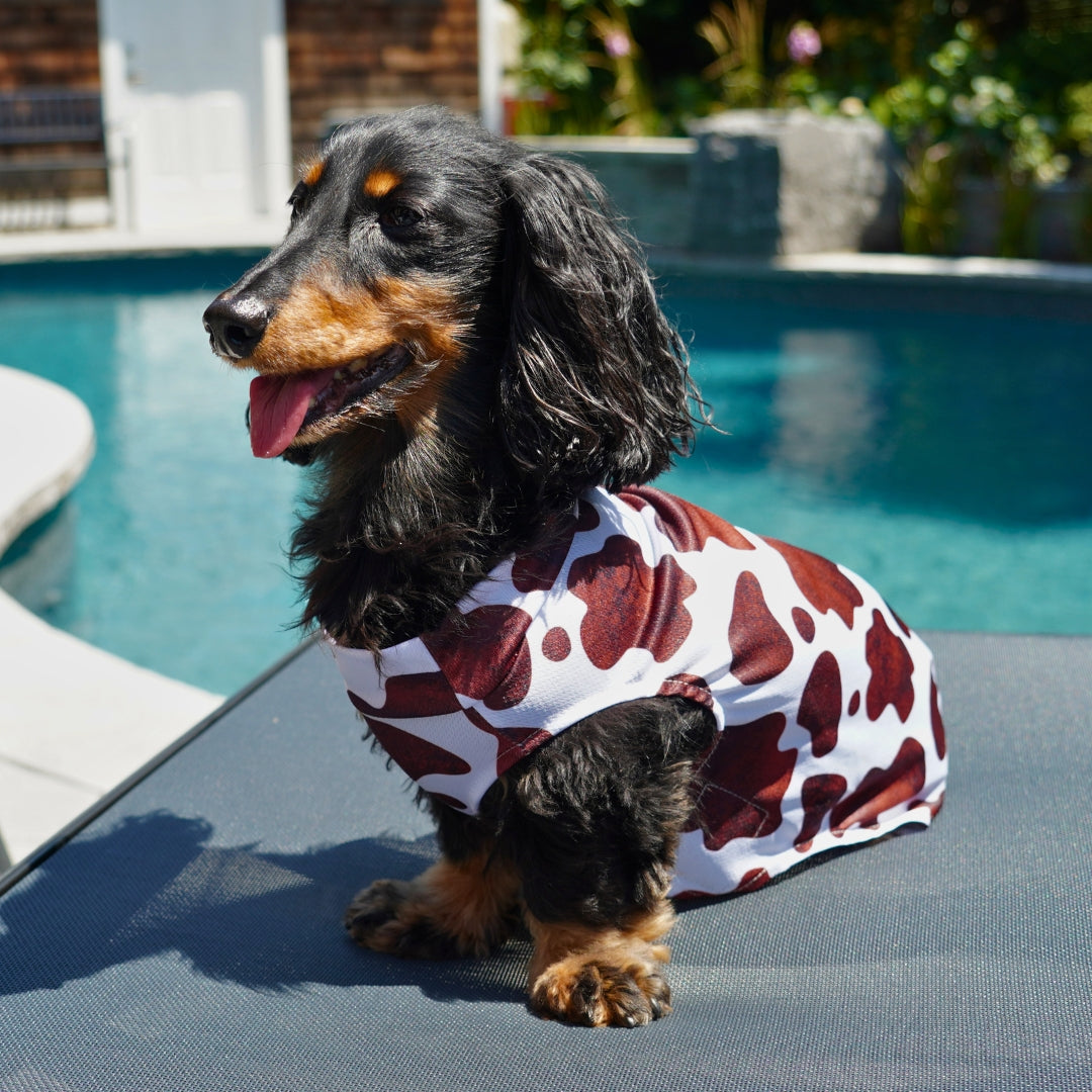 Dachshund Cooling Vest