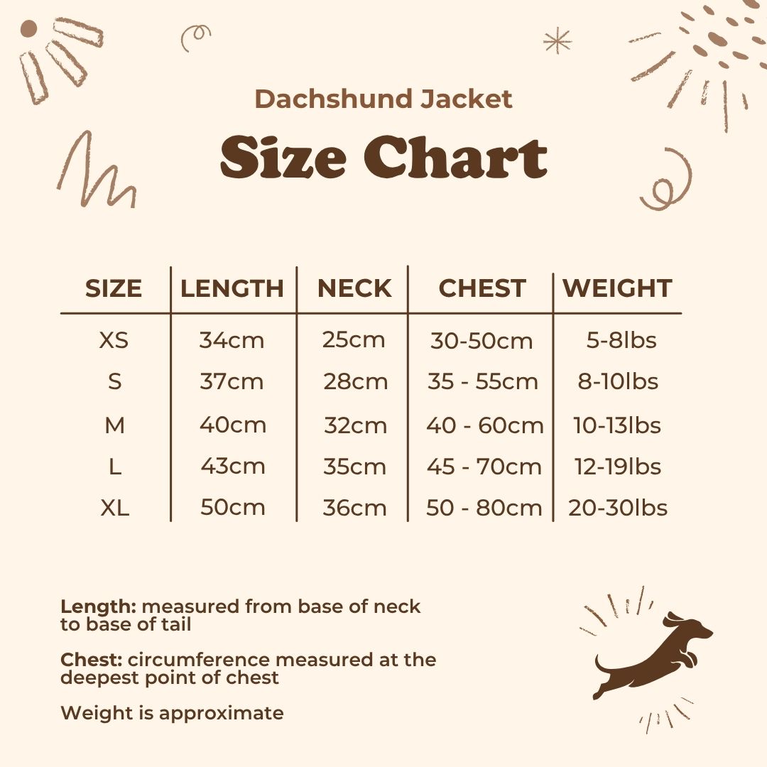 Dachshund Jacket