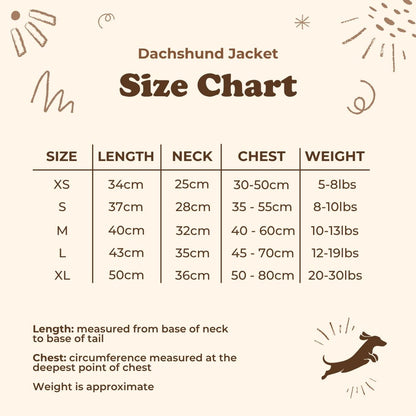 Dachshund Jacket