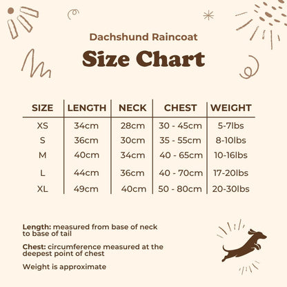 Dachshund Raincoat
