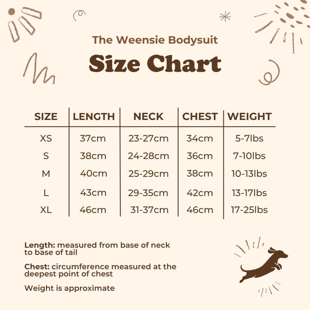 The Weensie Bodysuit