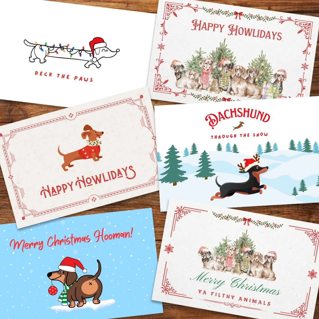 Longboi Holiday Greeting Card Pack of 6 (2024 Limited Edition)