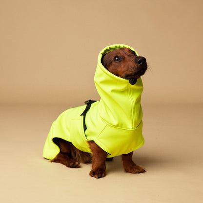 Dachshund Raincoat