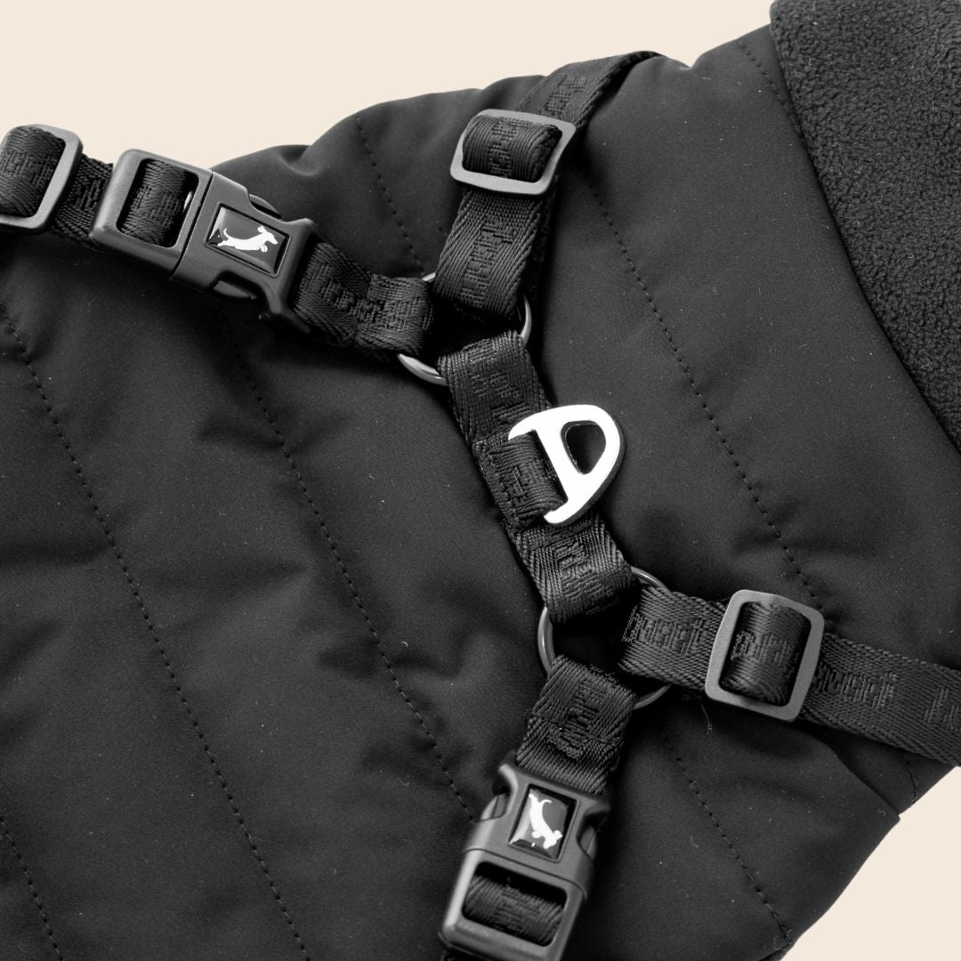 Dachshund Harness Puffer Jacket (NEW)