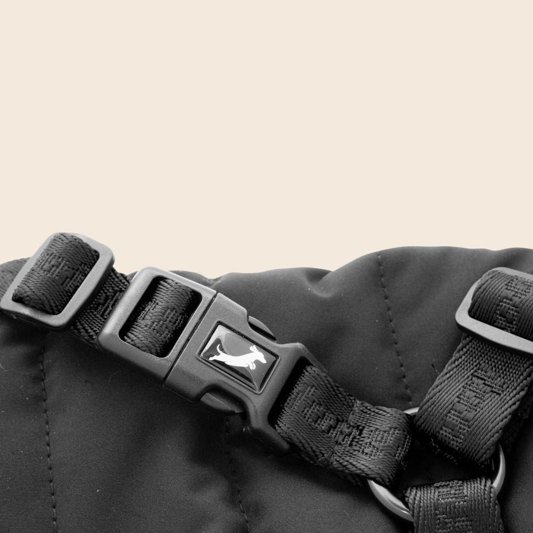 Dachshund Harness Puffer Jacket (NEW)