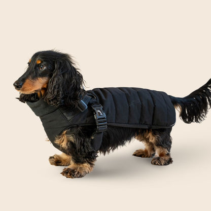 Dachshund Harness Puffer Jacket (NEW)