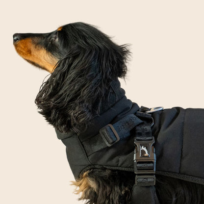 Dachshund Harness Puffer Jacket (NEW)