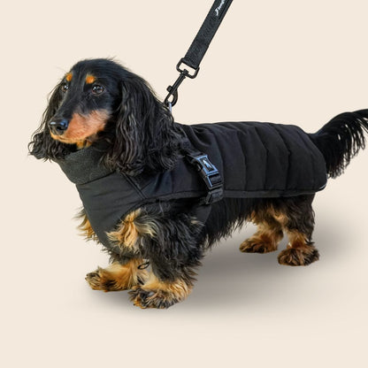 Dachshund Harness Puffer Jacket (NEW)