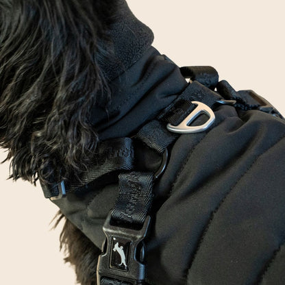 Dachshund Harness Puffer Jacket (NEW)