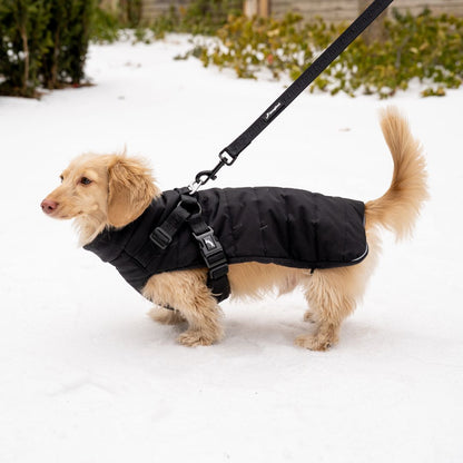 Dachshund Harness Puffer Jacket (NEW)