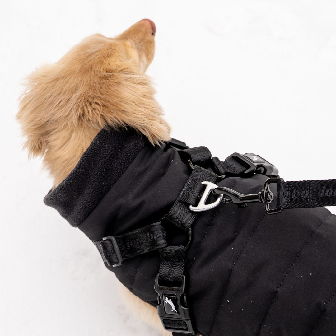 Dachshund Harness Puffer Jacket (NEW)