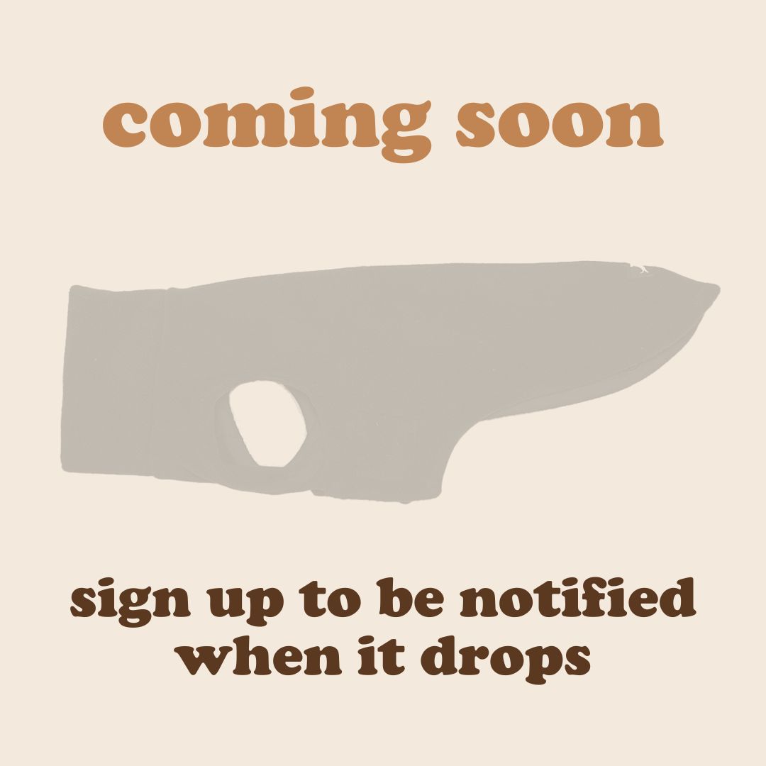 Dachshund Fleece Sweater