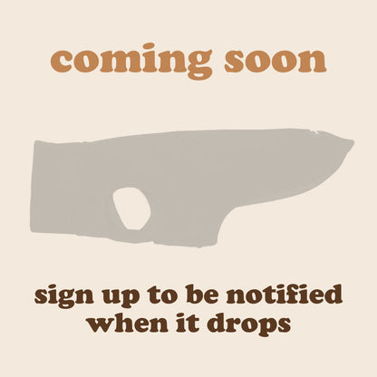 Dachshund Fleece Sweater