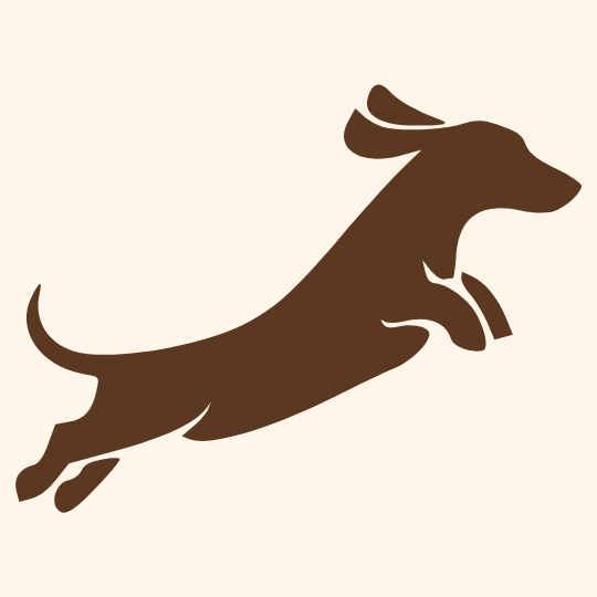 Dachshund Clothing and Accessories — Longboi & Co.