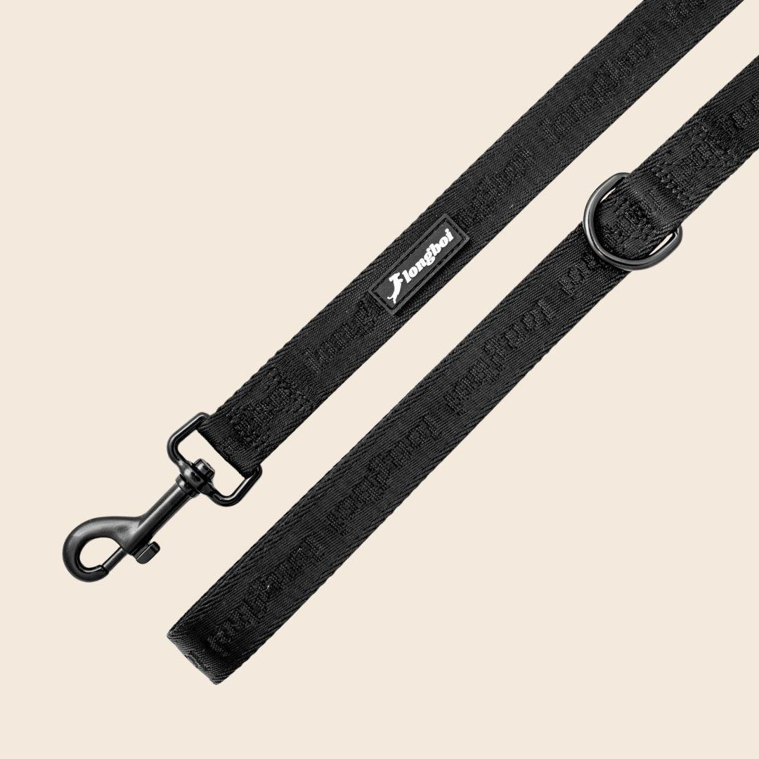 Onyx Leash (NEW)