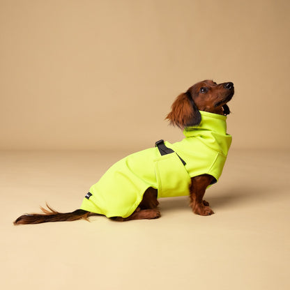 Dachshund Raincoat – Longboi - Main Image